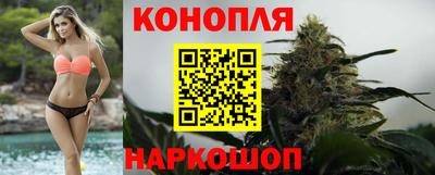 кокс Кингисепп