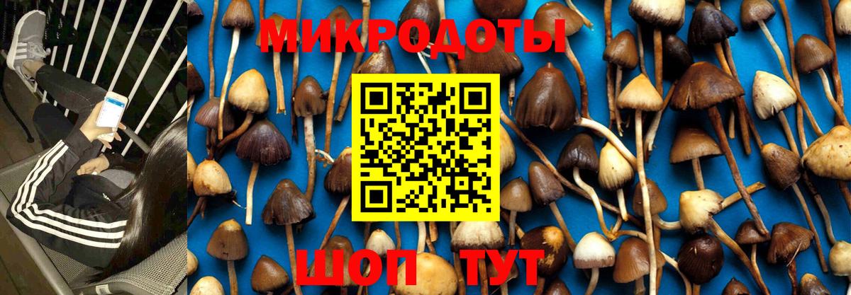 Галлюциногенные грибы Psilocybe  Вход с VPN  Краснознаменск  Галлюциногенные грибы ЛСД 