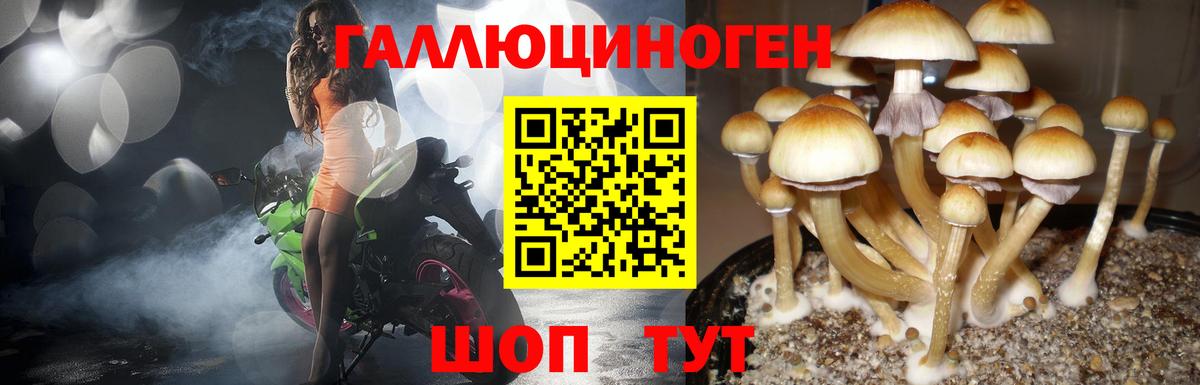 Галлюциногенные грибы Magic Shrooms Краснознаменск